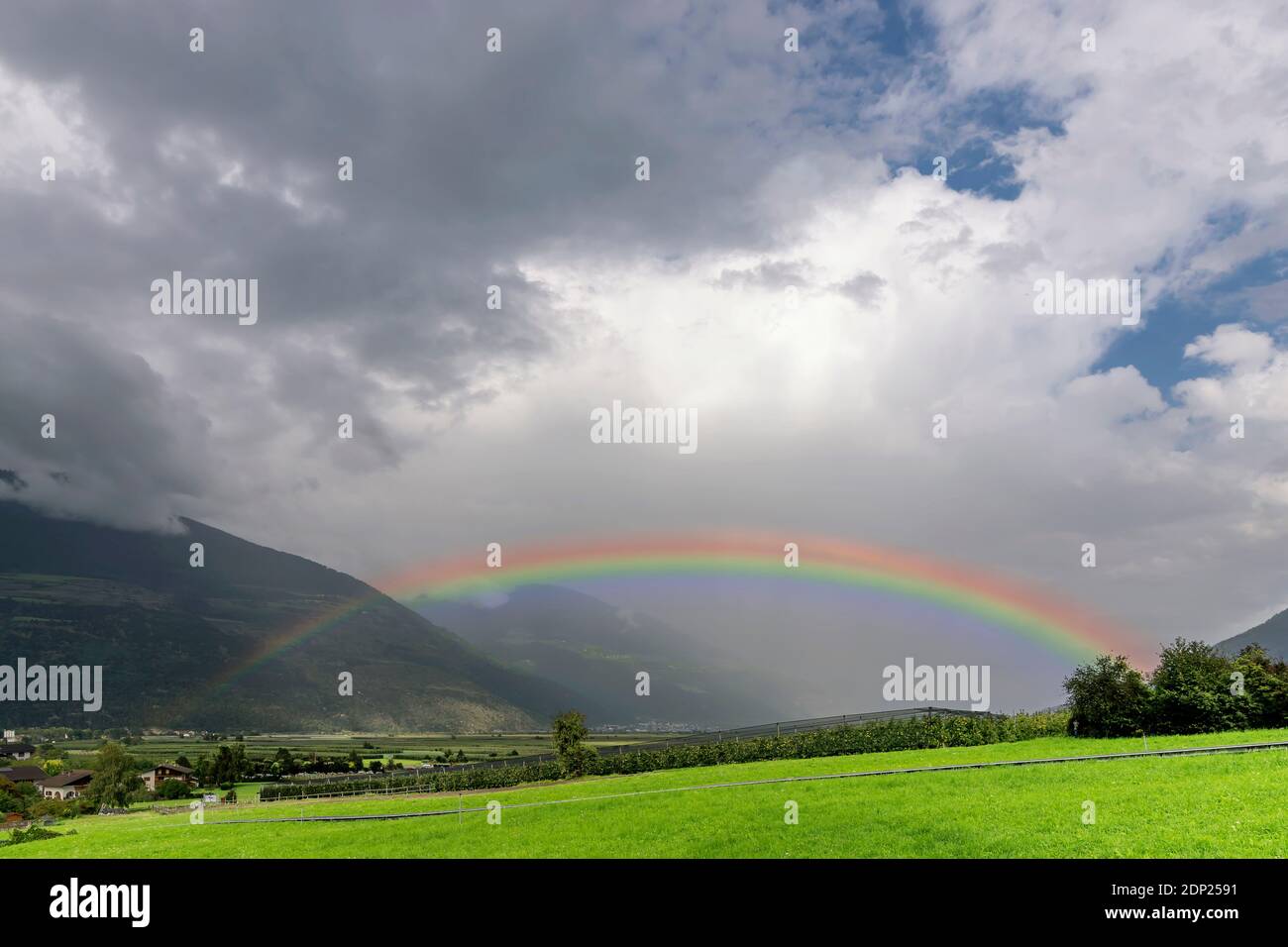 A large rainbow emerges from the clouds over an apple planted field in Val Venosta, Prato allo Stelvio, Italy Stock Photo