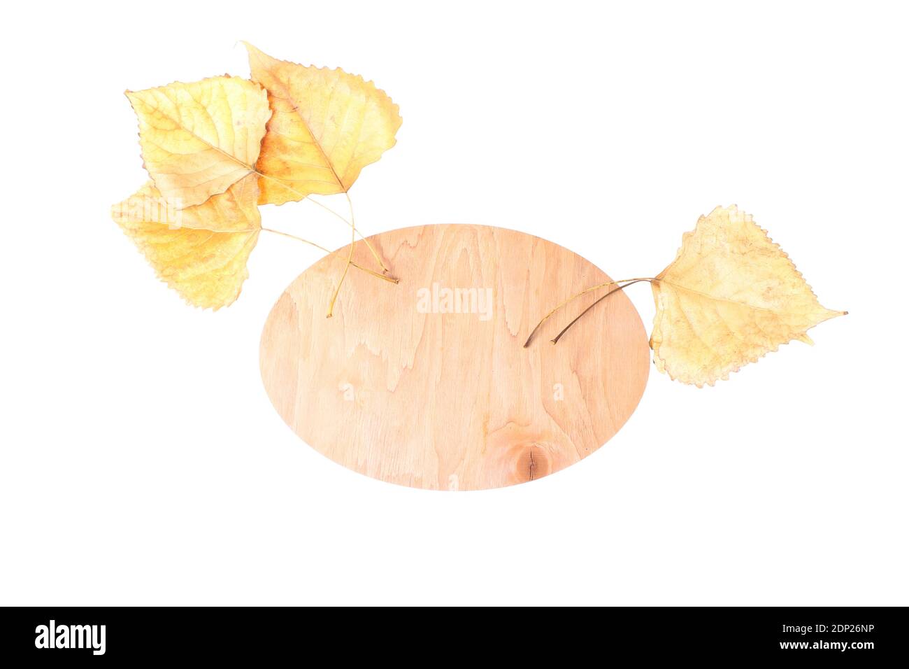 Wooden board and fallen autumn leaves isolated on white background Stock Photo