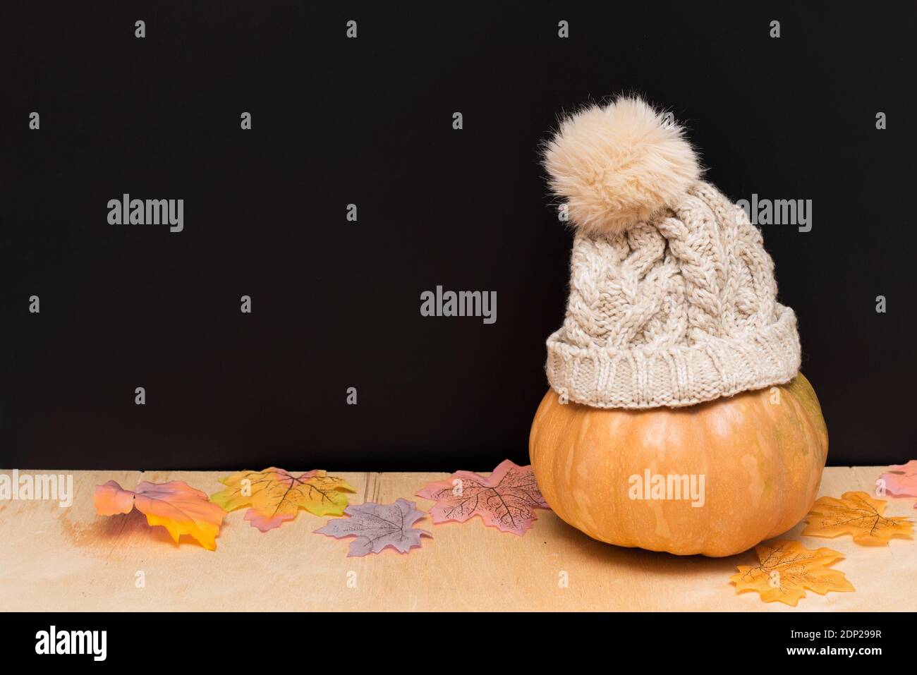 Halloween background with funny orange pumpkin in hat with autumn colorful leaves. Happy Halloween celebration card Stock Photo