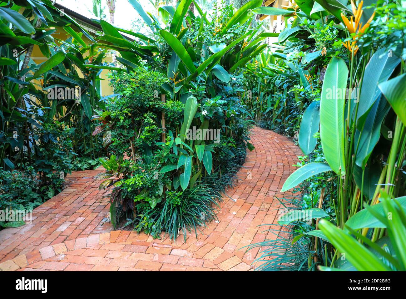 Verdant plant growth in the grounds of La Veranda luxury resort hotel, Phu Quoc, Vietnam, Asia Stock Photo