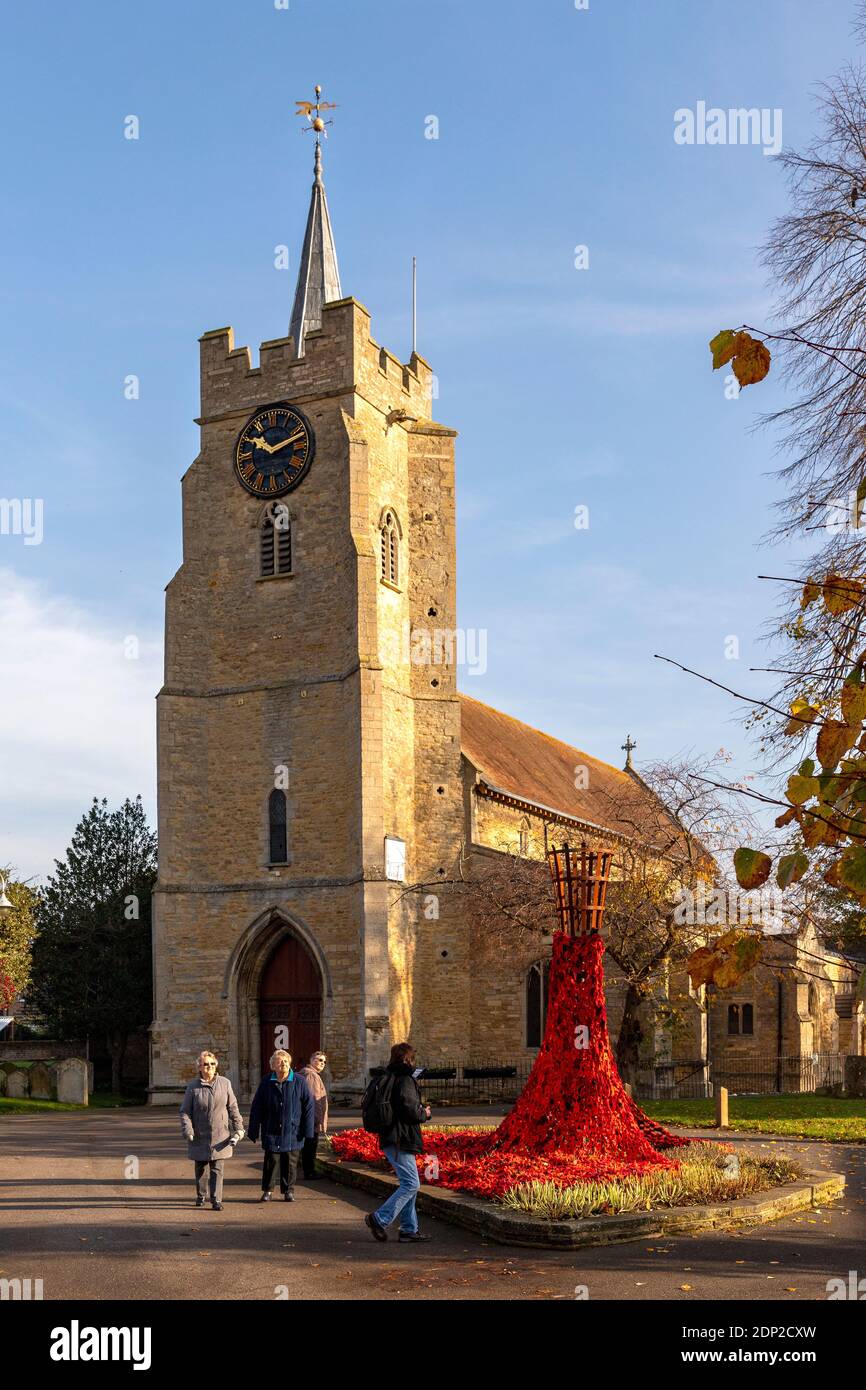 Chatteris War Memorial and the Parish Church of St Peter & St Paul, with a cascading poppy display, all ready for Remembrance Day. Stock Photo