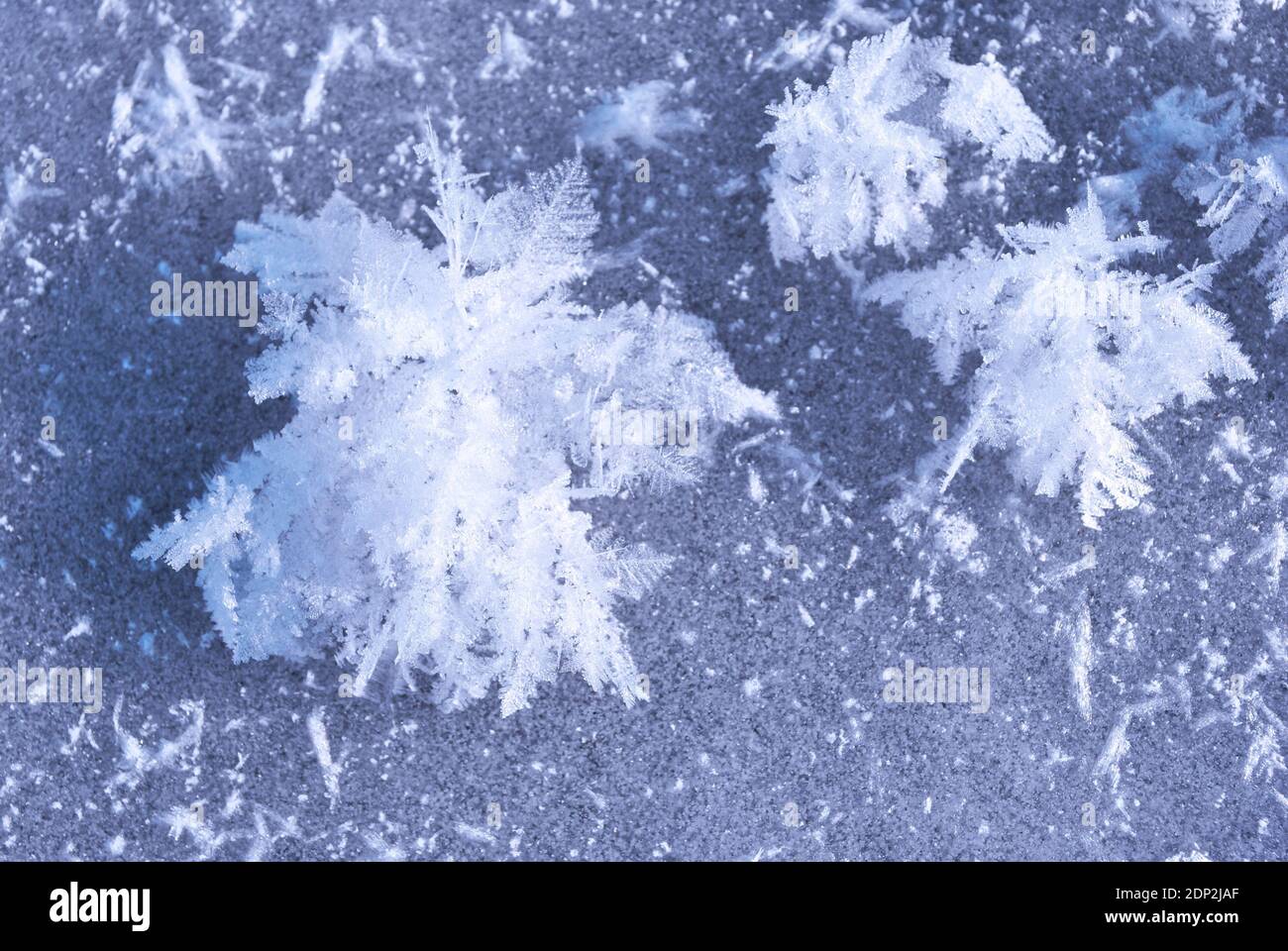Ice surface with large fluffy snowflakes, natural organic background, top view Stock Photo - Alamy Ice surface with large fluffy snowflakes, natural organic background, top view Stock Photo - Alamy