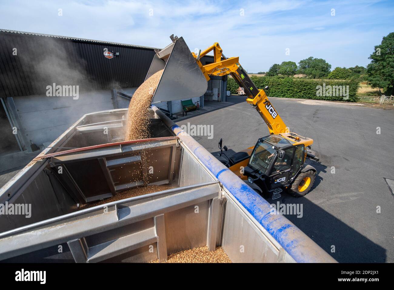 Loading beans for animal feed into a wagon from a farm store, using a