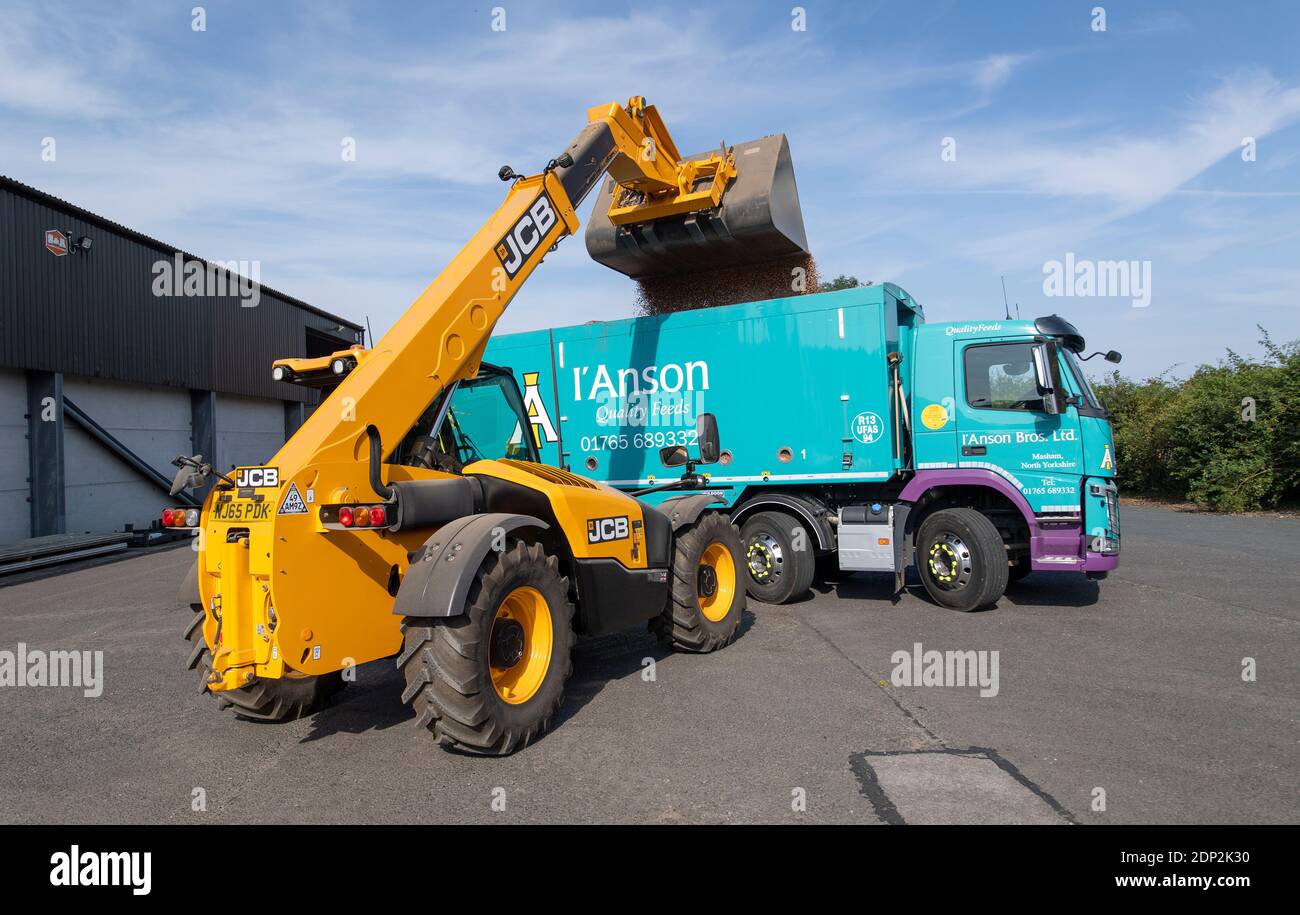 Loading beans for animal feed into a wagon from a farm store, using a