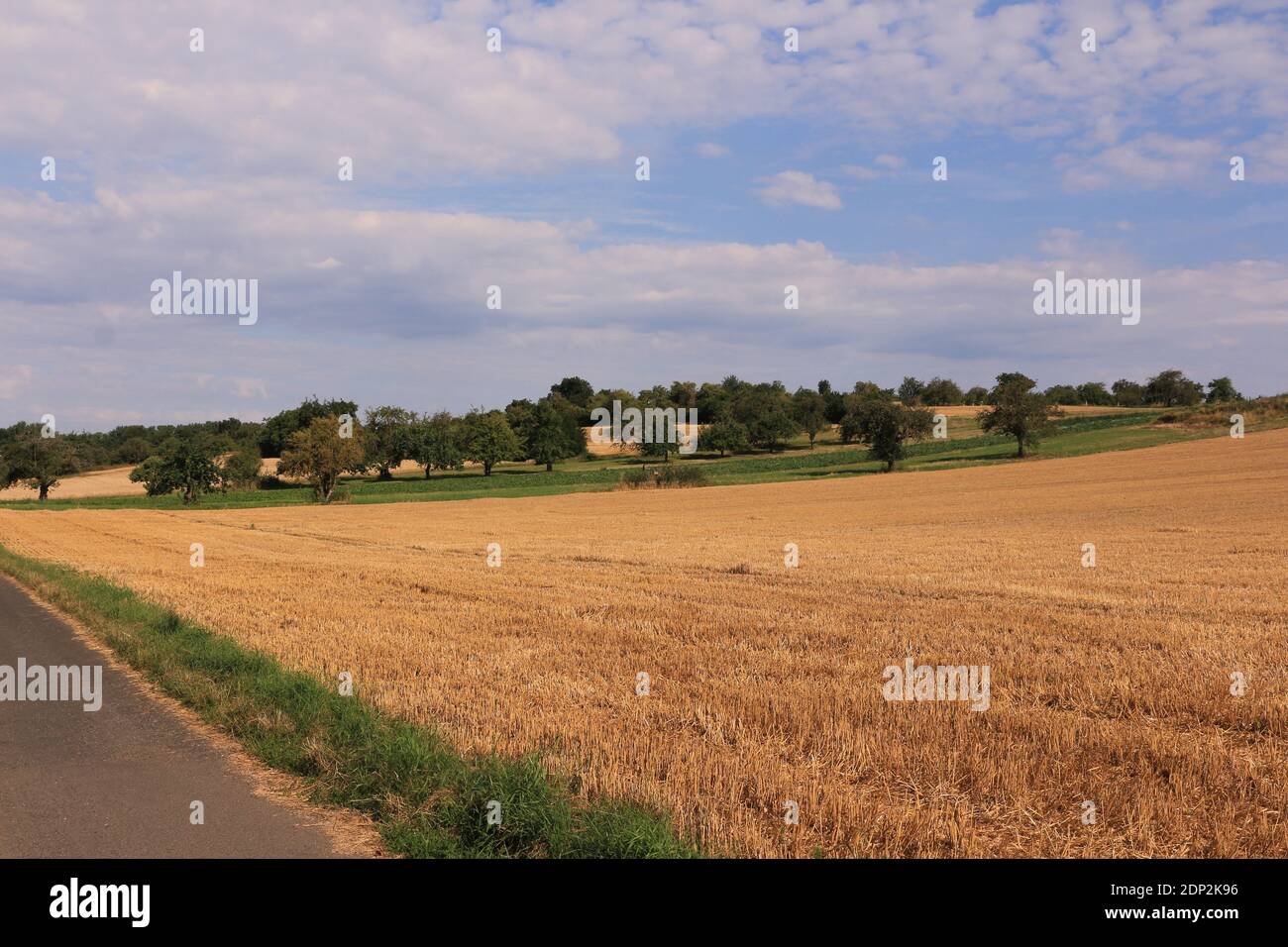 Blick auf die Felder rund um Karben Stock Photo