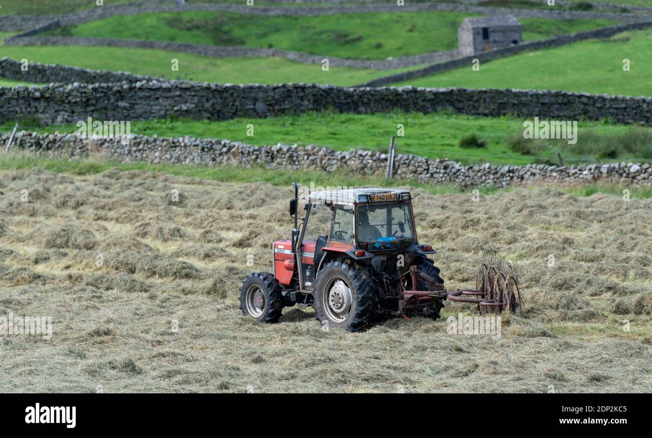 Farmer in Swaledale, North Yorkshire, rowing up hay in a traditional