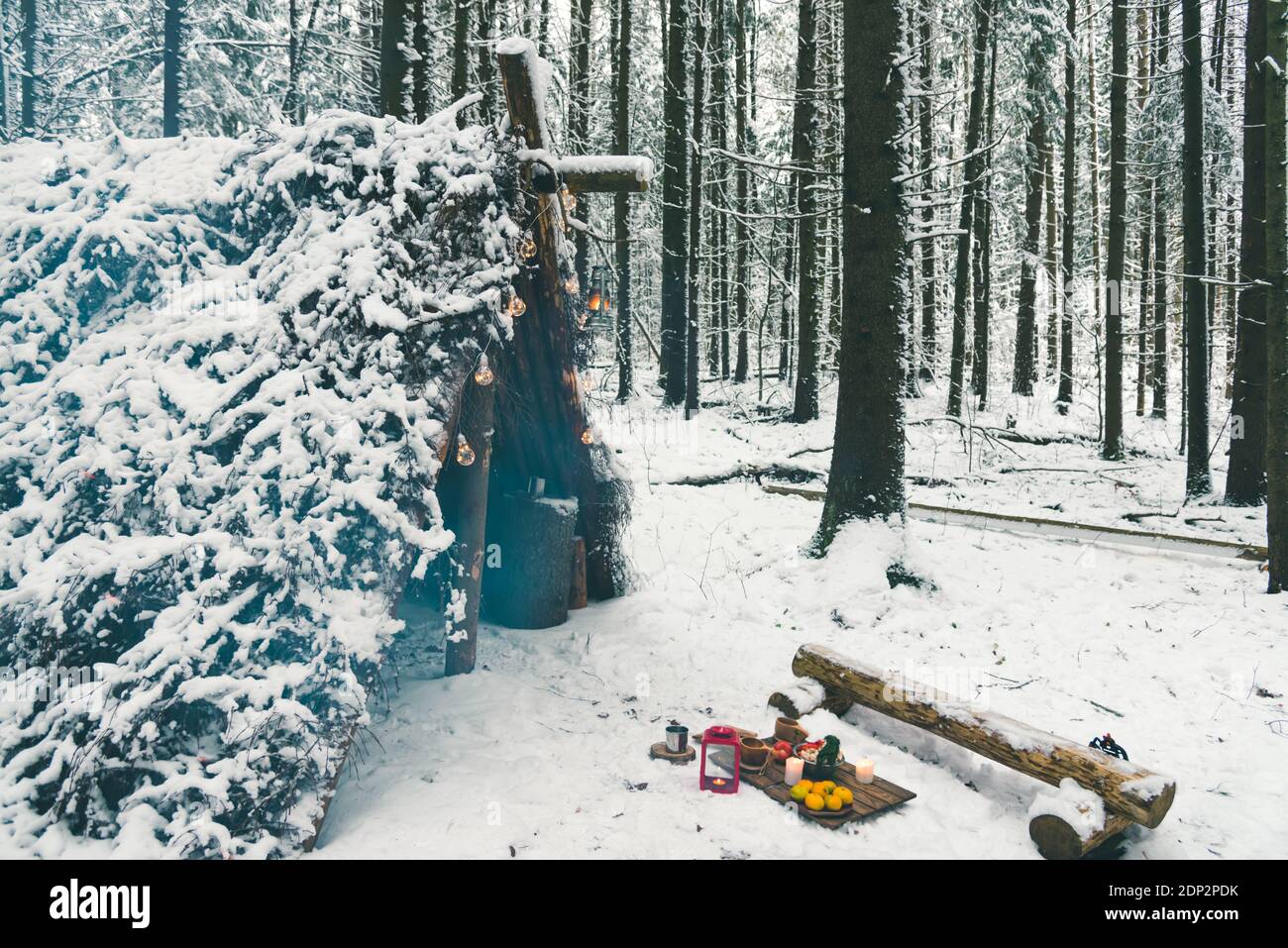 Bushcraft in the winter hi-res stock photography and images - Page 2 - Alamy