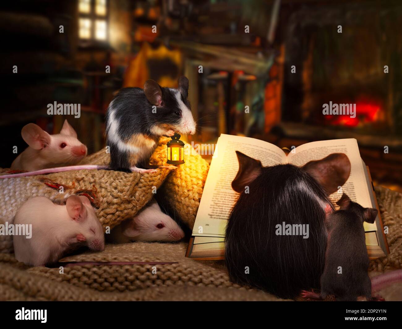 Cute mice reading a book in a cozy house. Concept of fairy tales for