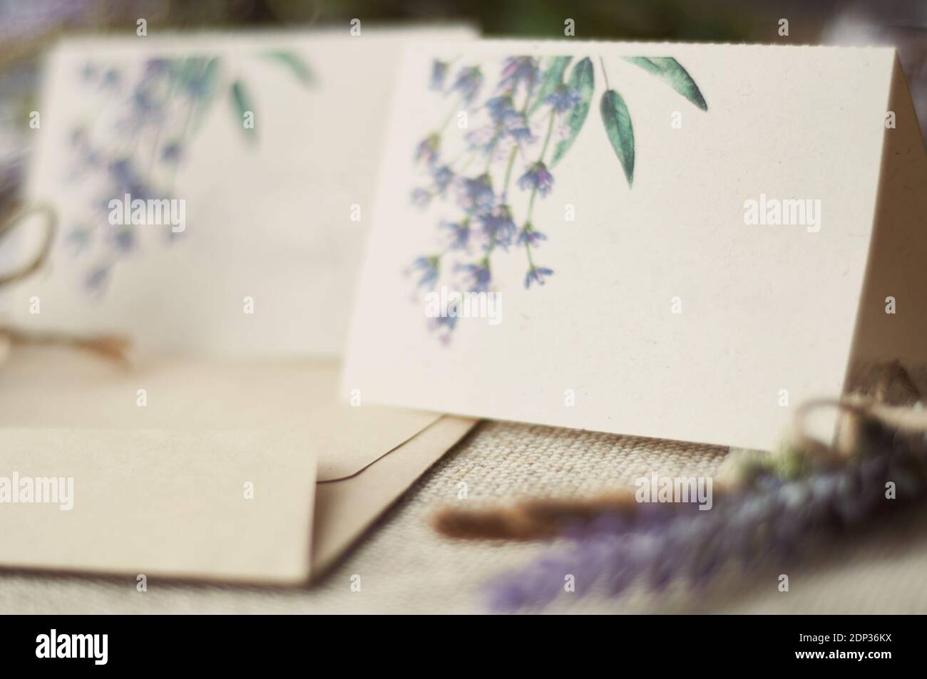cards for lettering names blank, envelope on table with lavender flower Stock Photo