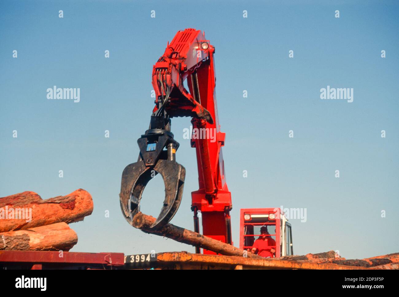 Freshly cut timber being stacked by a log loader, USA Stock Photo - Alamy