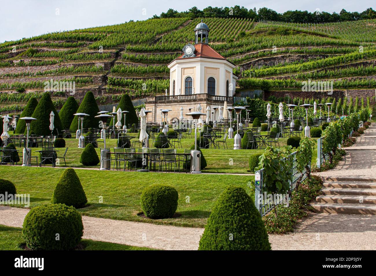 Erlesen, Saxony, Radebeal, Germany, Schloss Wackerbarth, winery, vineyards, wine tasting, restaurant, food, dining, Stock Photo