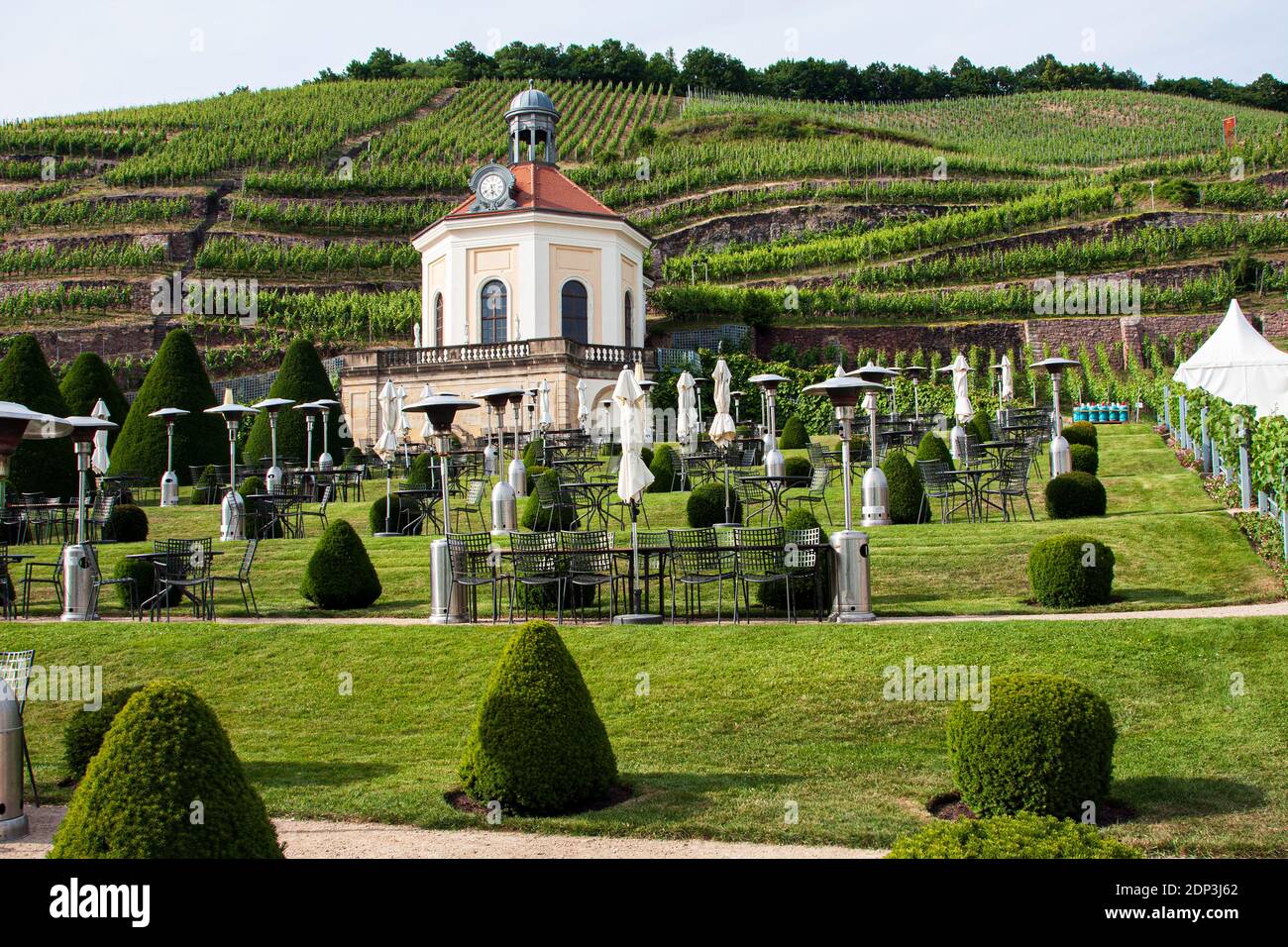 Erlesen, Saxony, Radebeal, Germany, Schloss Wackerbarth, winery, vineyards, wine tasting, restaurant, food, dining, Stock Photo