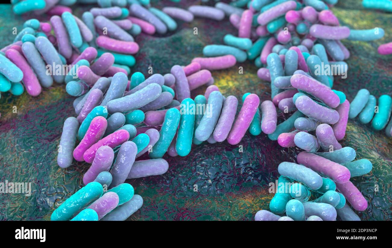 Illustration of rod-shaped and spherical (cocci) bacteria. Rod-shaped ...