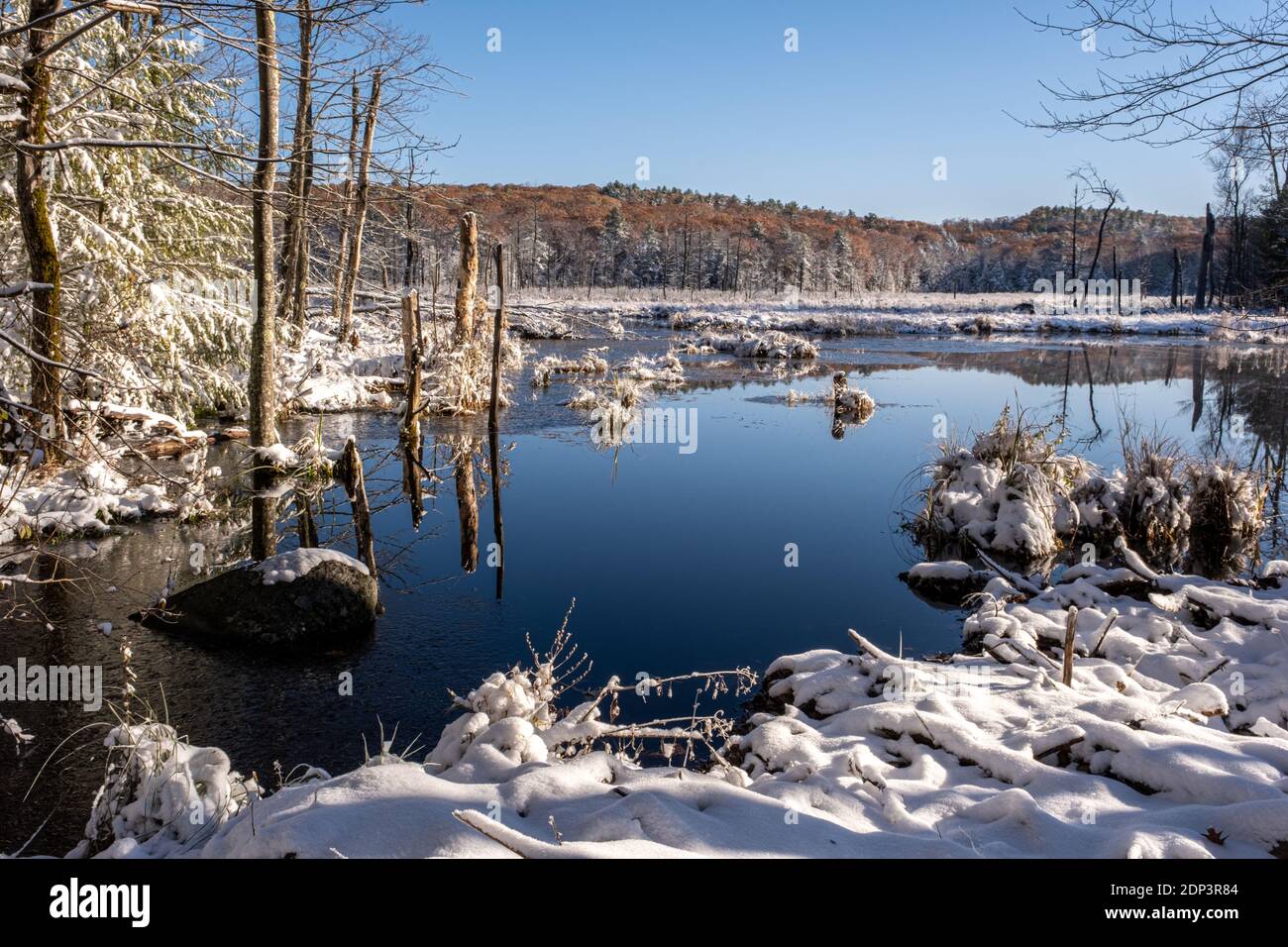 An early snow storm in late fall at Shattuck Brook in Phillipston, Massachusetts Stock Photo