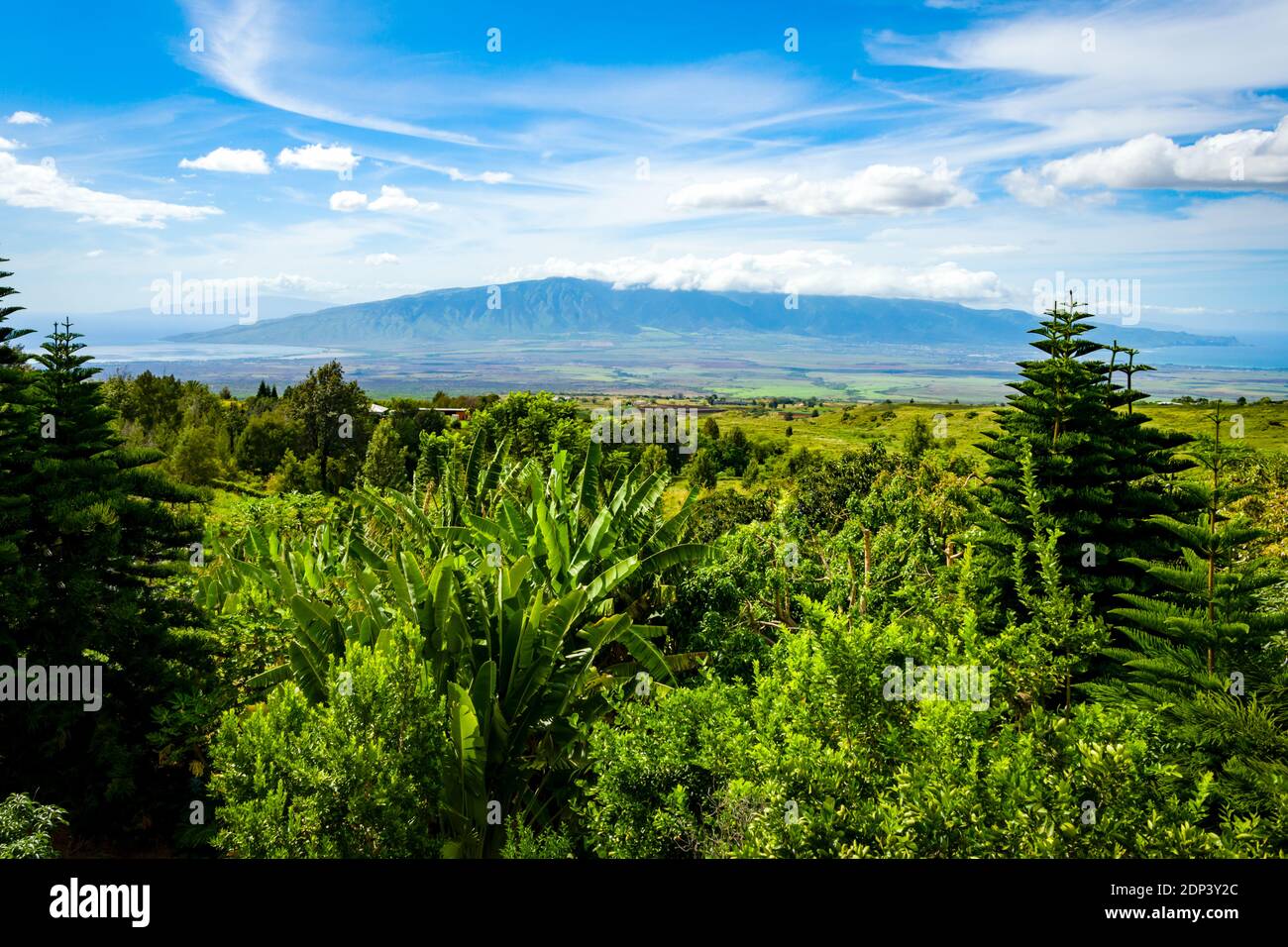 Maui, Hawaii, Upcountry, Sun Yat-Sen Memorial Park, Nearby View of Central Maui Stock Photo