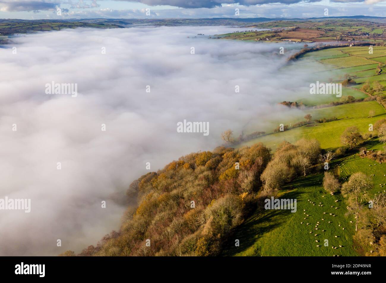 Aerial view looking down onto rural farmland and a valley filled with a blanket of fog (Wales,UK) Stock Photo