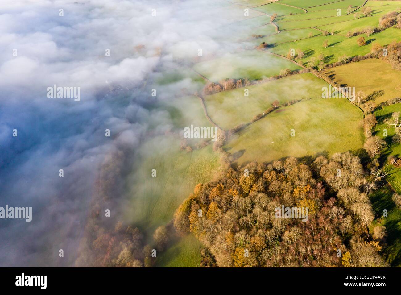 Aerial view looking down onto a trees in a beautiful, rural fog filled valley (Powys, Mid Wales) Stock Photo