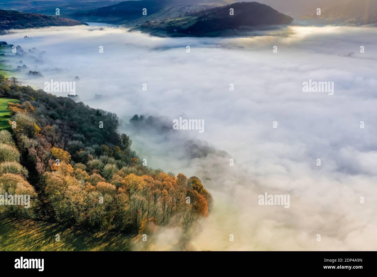Aerial view looking down onto a trees in a beautiful, rural fog filled valley (Powys, Mid Wales) Stock Photo