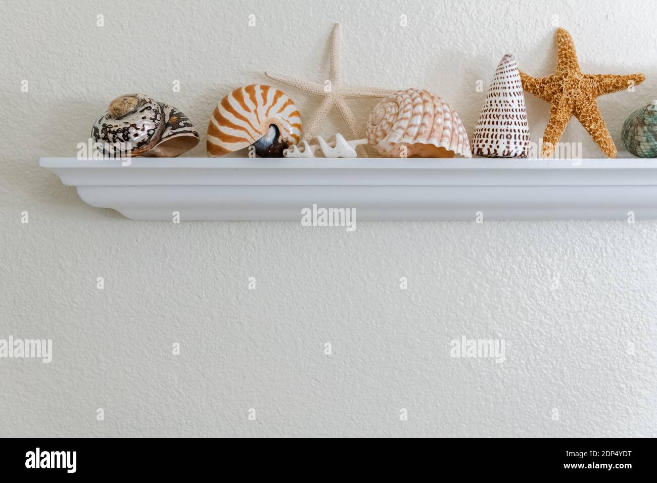 Cómo decorar con estrellas de mar  Beach house interior, Beach house  decor, Beachy bathroom