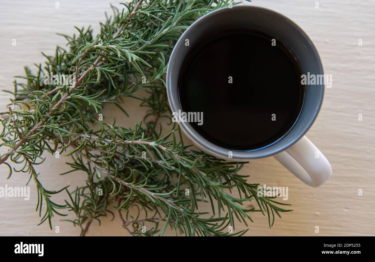 Fresh Rosemary Leaves next to Coffee Mug Stock Photo Alamy