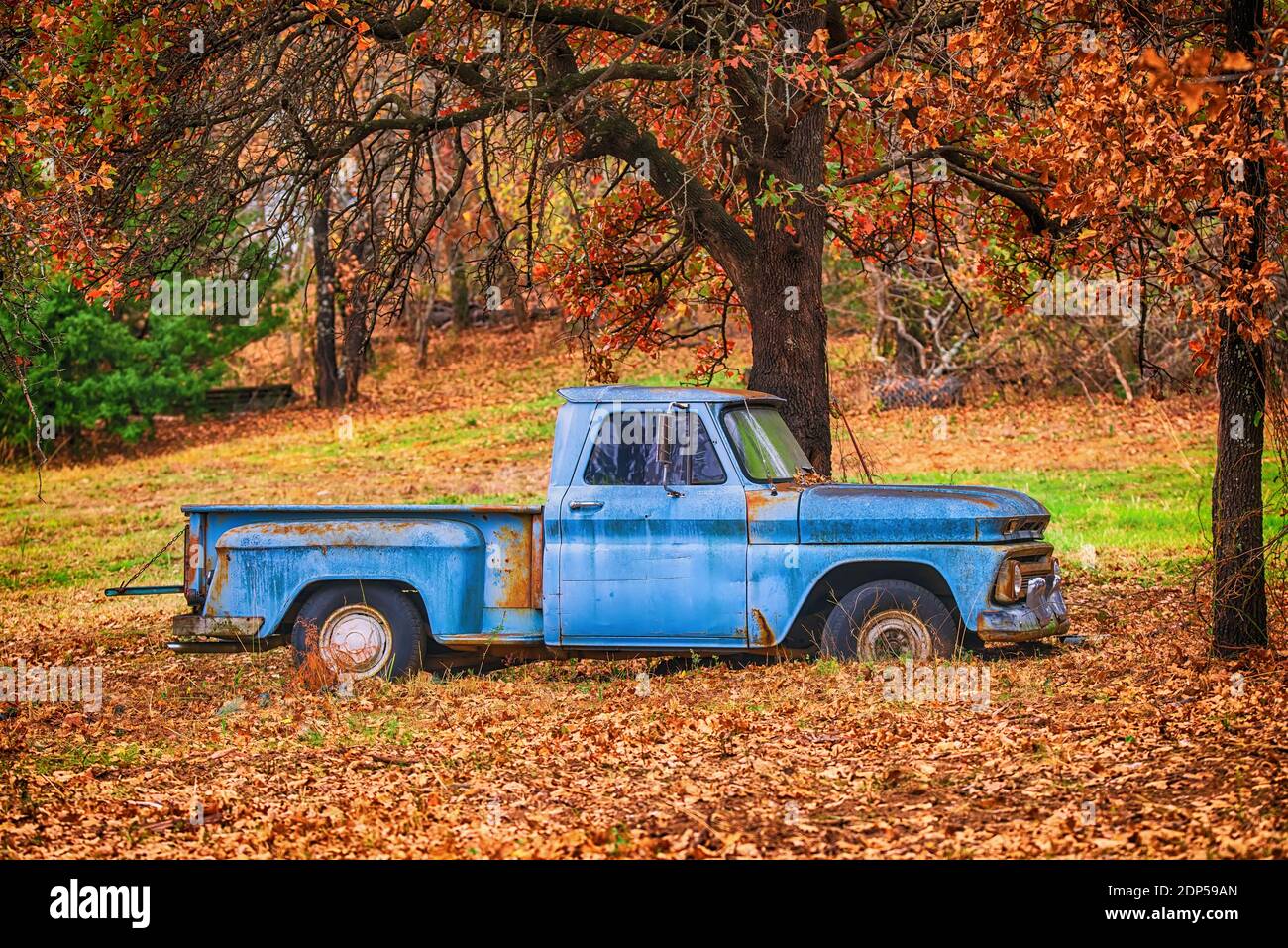 Old, abandoned blue truck surrounded by beautiful fall foliage in autumn Stock Photo Alamy
