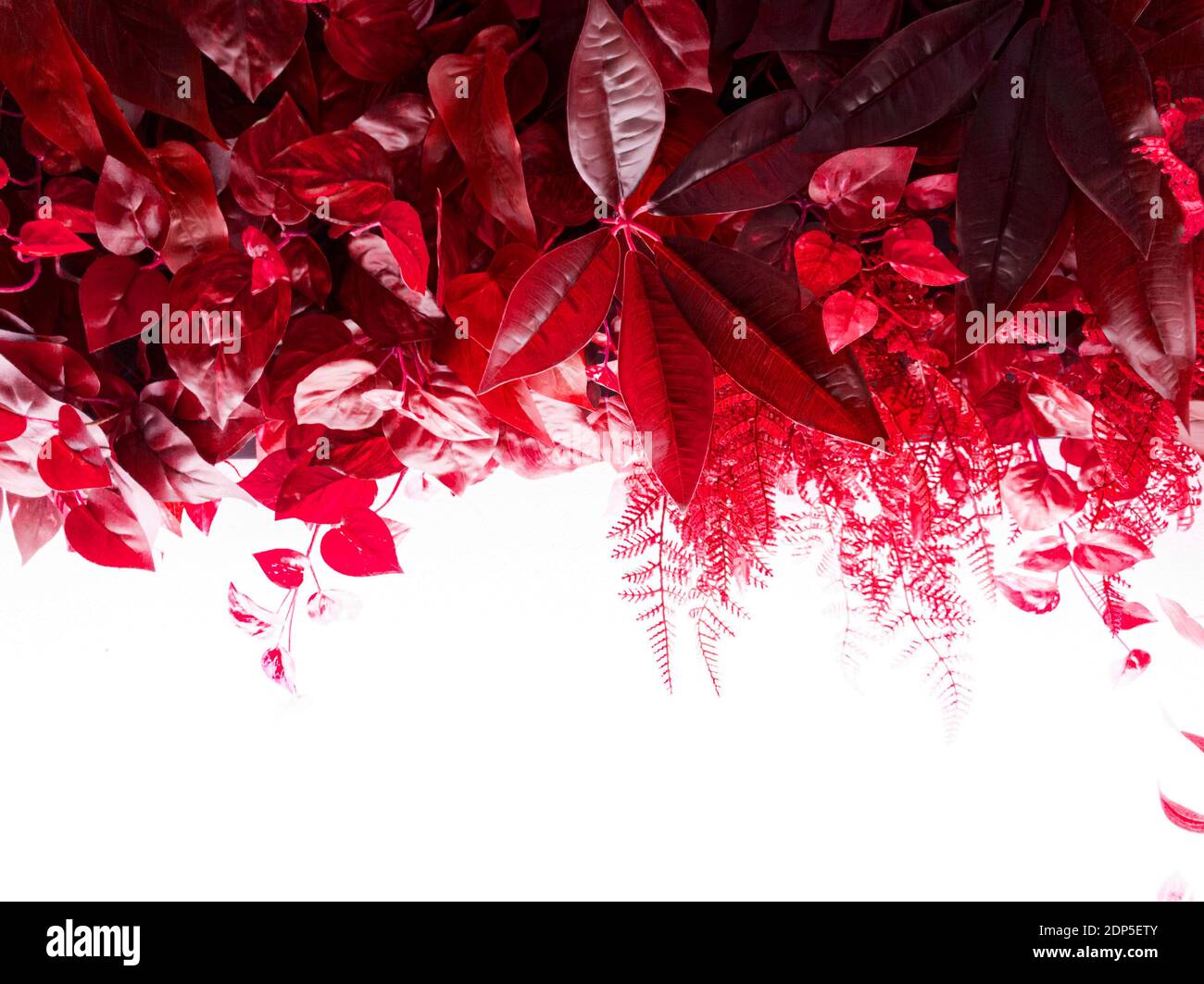 Tonal effect image of sagging plants 7 Stock Photo - Alamy