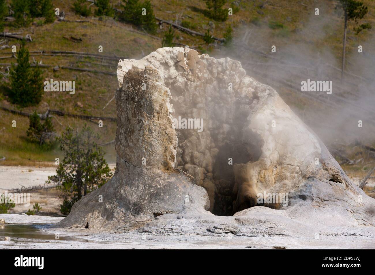 Giant Geyser is a geyser notable for its 250 foot spectacular