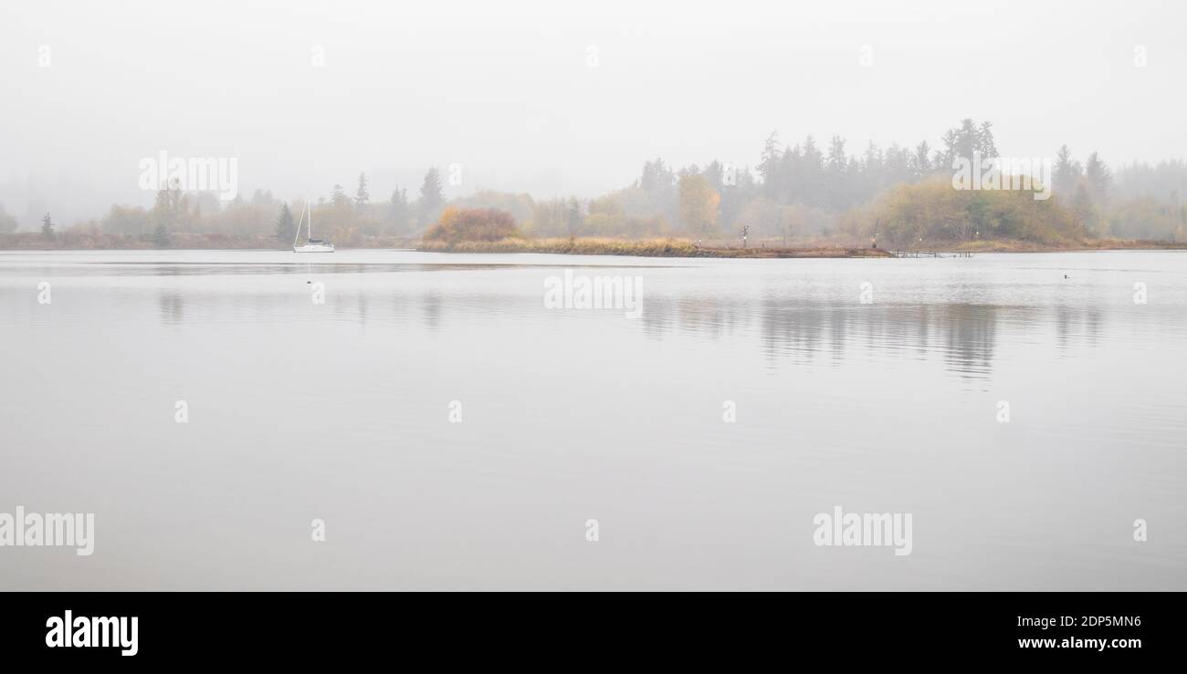 Misty day on the Campbell River estuary on Vancouver Island, BC., Canada, at high tide. Stock Photo