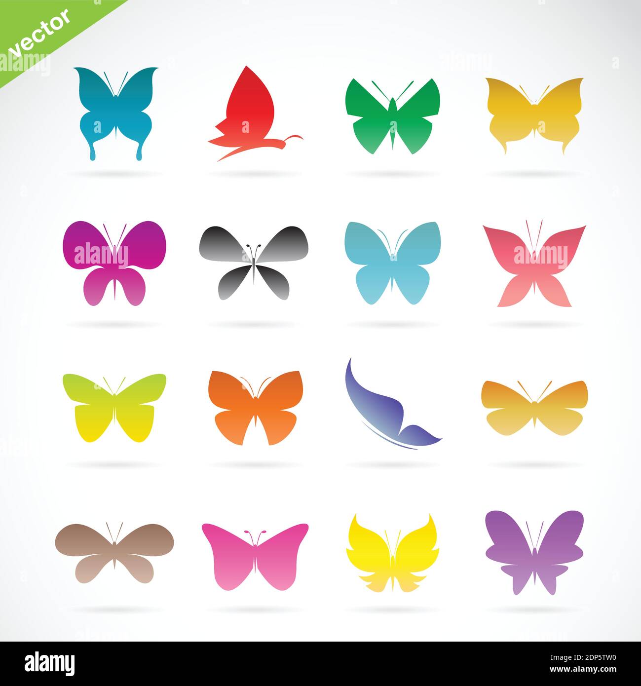Vector group of colorful butterfly on white background. Insect. Easy ...