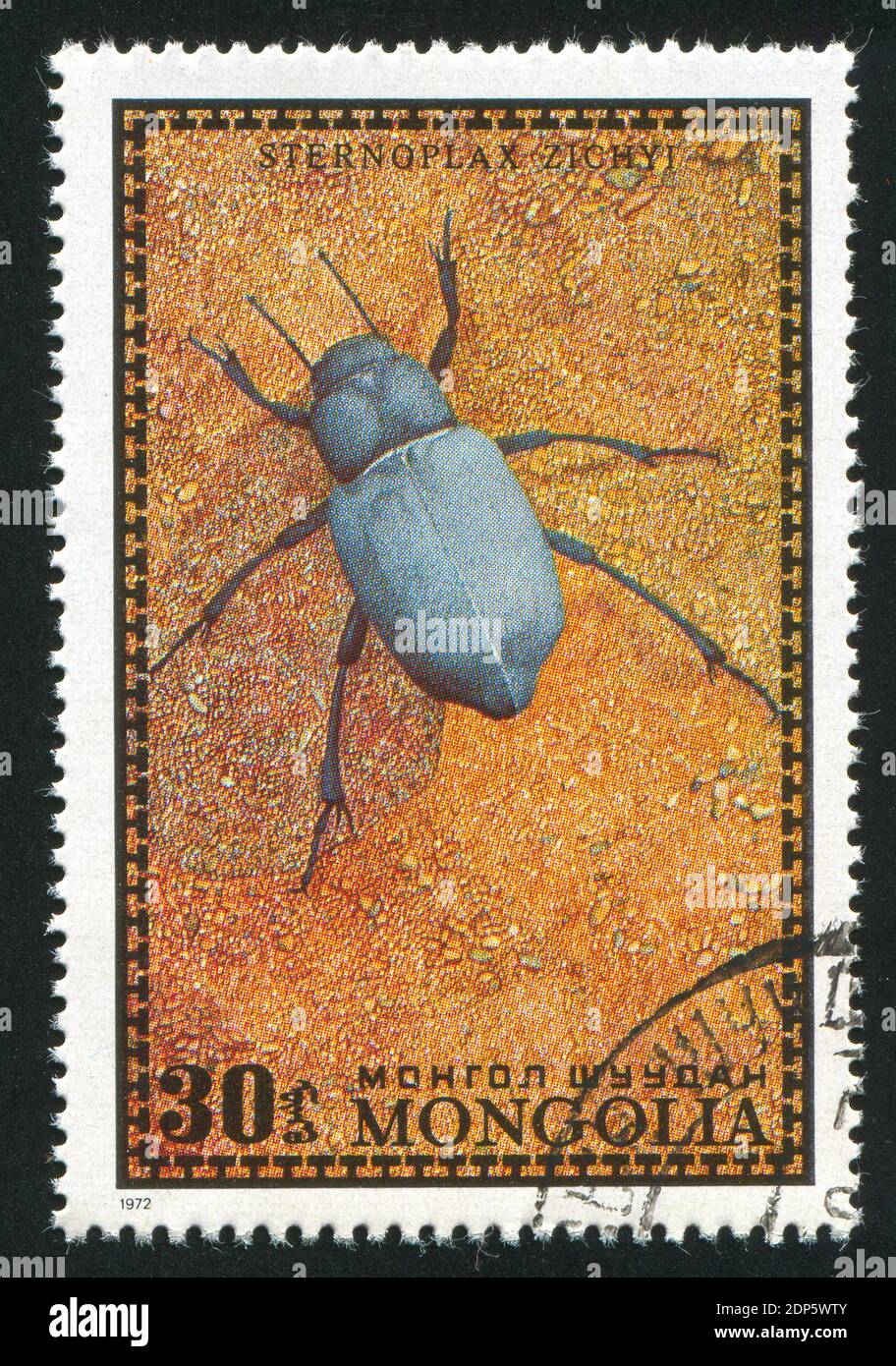 MONGOLIA - CIRCA 1972: stamp printed by Mongolia, shows insect, circa ...