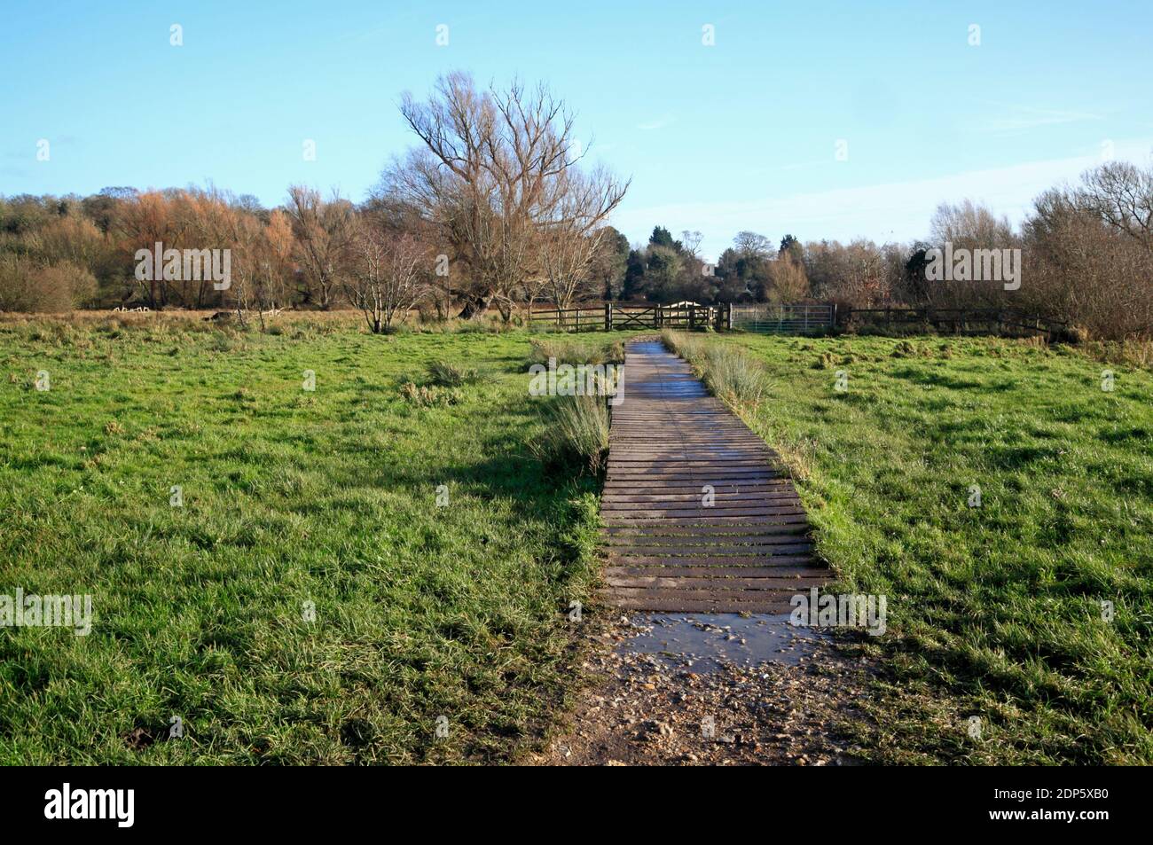 A boardwalk crossing water meadows at Marston Marshes Local Nature