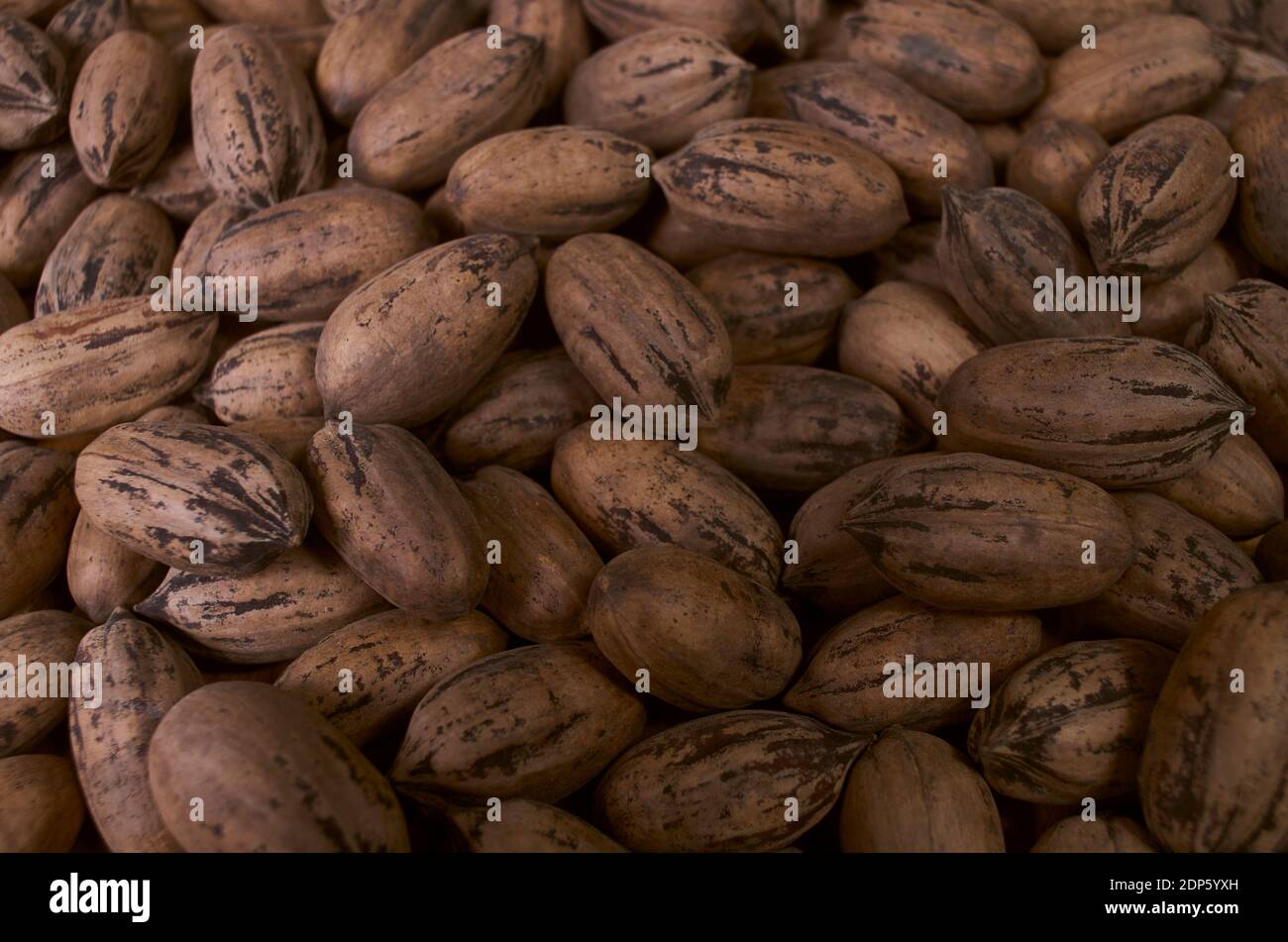 Pecan nuts with nutshell. Background pattern Stock Photo - Alamy