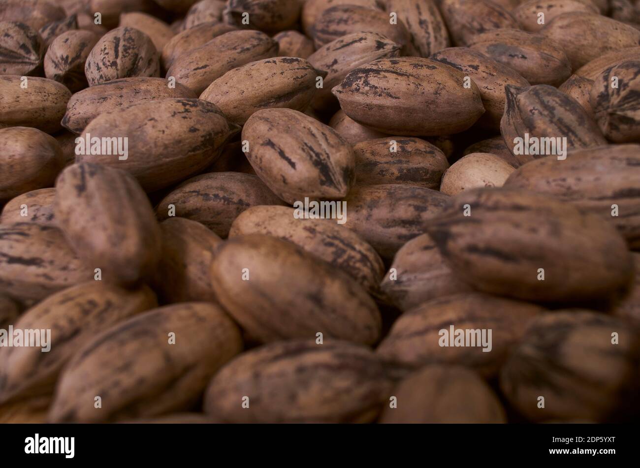 Pecan nuts with nutshell. Background pattern Stock Photo - Alamy