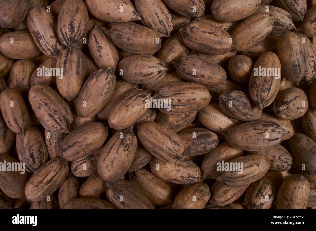 Pecan nuts with nutshell. Background pattern Stock Photo - Alamy