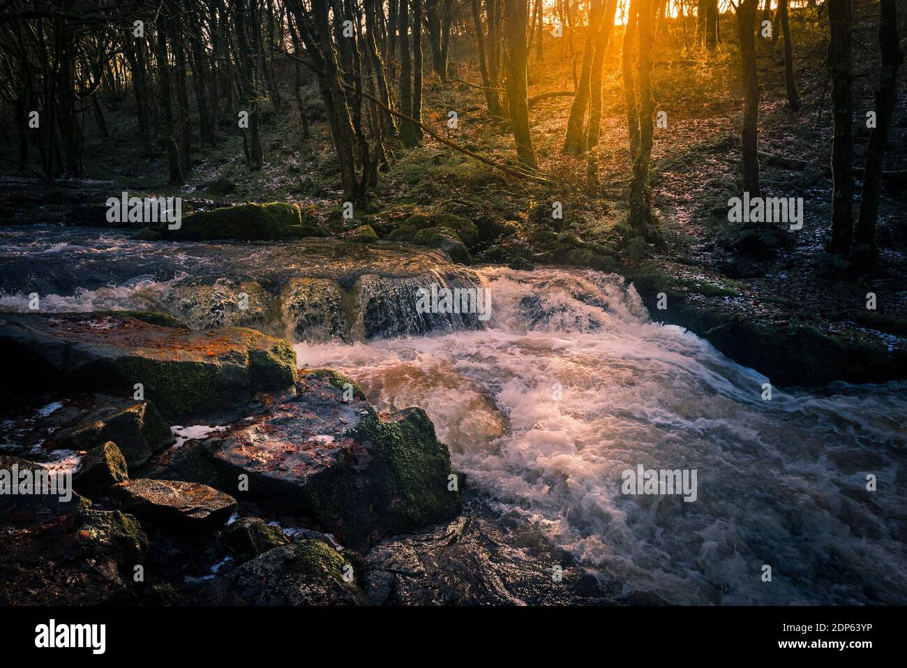 Late afternoon sunlight as the River Fowey flows along Golitha Falls in the historic and ancient woodland Draynes Wood in Cornwall. Stock Photo