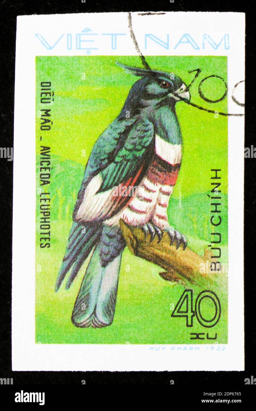 MOSCOW, RUSSIA - SEPTEMBER 26, 2018: A stamp printed in Vietnam shows Black Baza (Aviceda leuphotes), Birds of Prey serie, circa 1982 Stock Photo