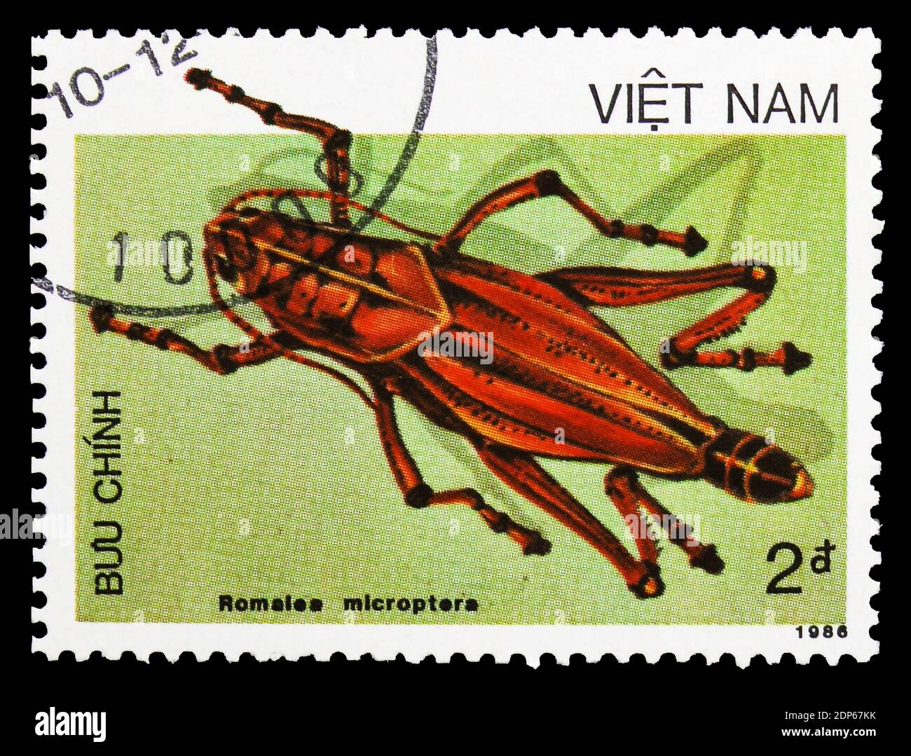 MOSCOW, RUSSIA - SEPTEMBER 26, 2018: A stamp printed in Vietnam shows Eastern Lubber Grasshopper (Romalea microptera), Insects serie, circa 1987 Stock Photo