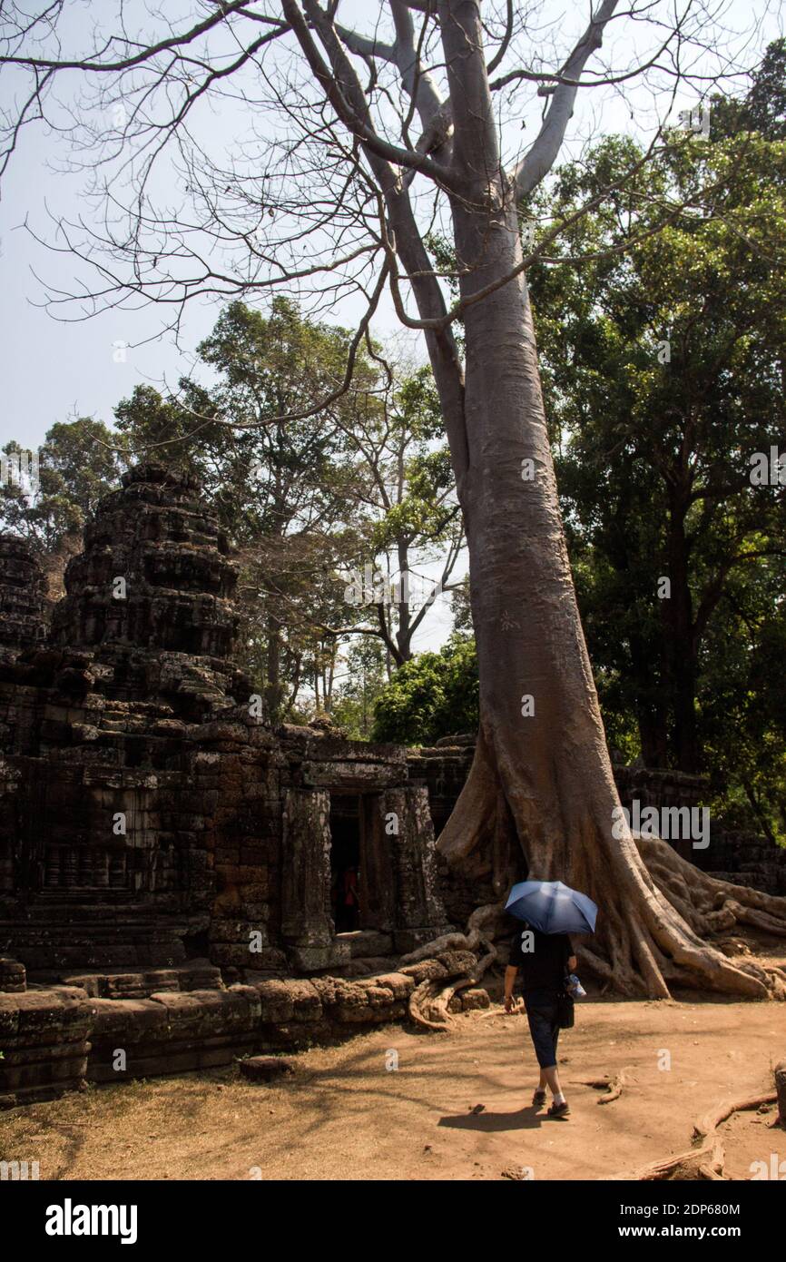 KHM - SOCIÉTÉ - TOURISME AUX TEMPLES DE ANGKOR Avant de devenir une attraction touristique, la cité d’Angkor fut la capitale de l’empire Khmer du IXèm Stock Photo