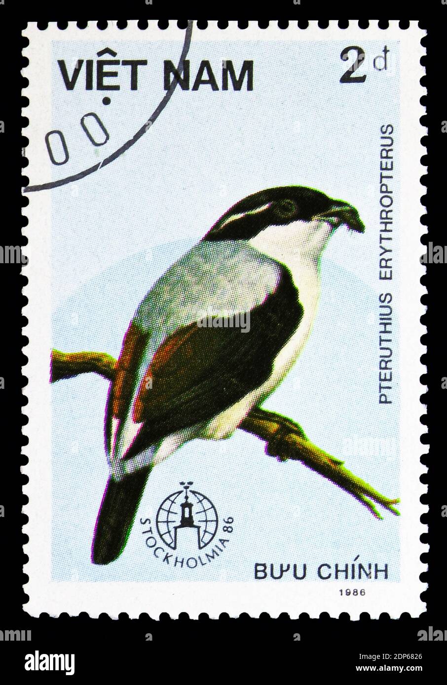 MOSCOW, RUSSIA - SEPTEMBER 26, 2018: A stamp printed in Vietnam shows White-browed Shrike-Babbler (Pteruthius erythropterus), Birds serie, circa 1986 Stock Photo