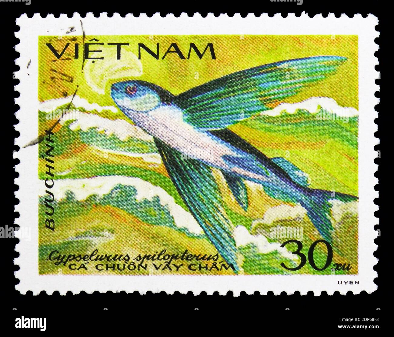 MOSCOW, RUSSIA - SEPTEMBER 26, 2018: A stamp printed in Vietnam shows Flying Fish (Cypselurus spilopterus), Fish serie, circa 1984 Stock Photo