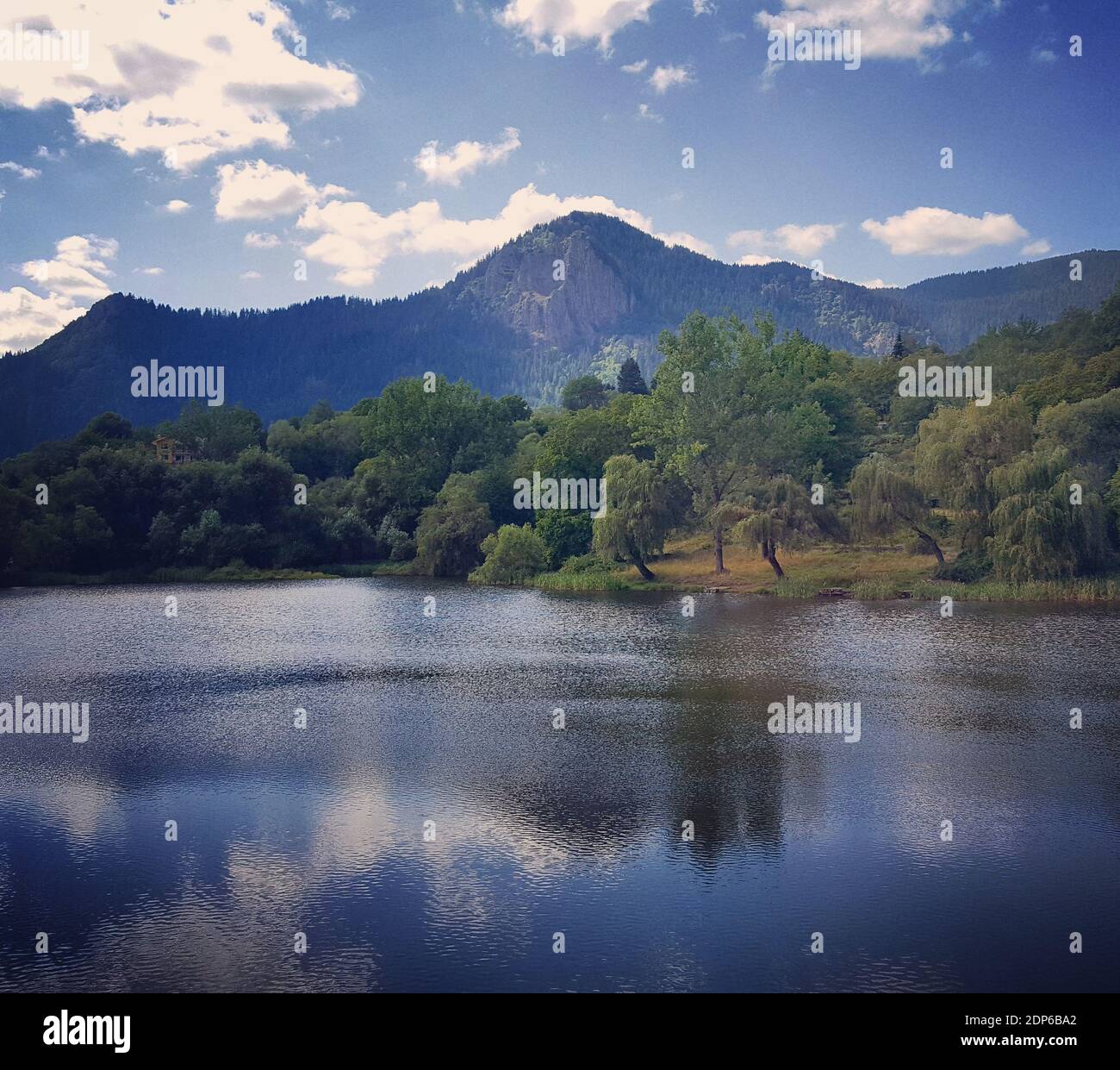 A beautiful shot of a reflection of trees in a lake Stock Photo - Alamy