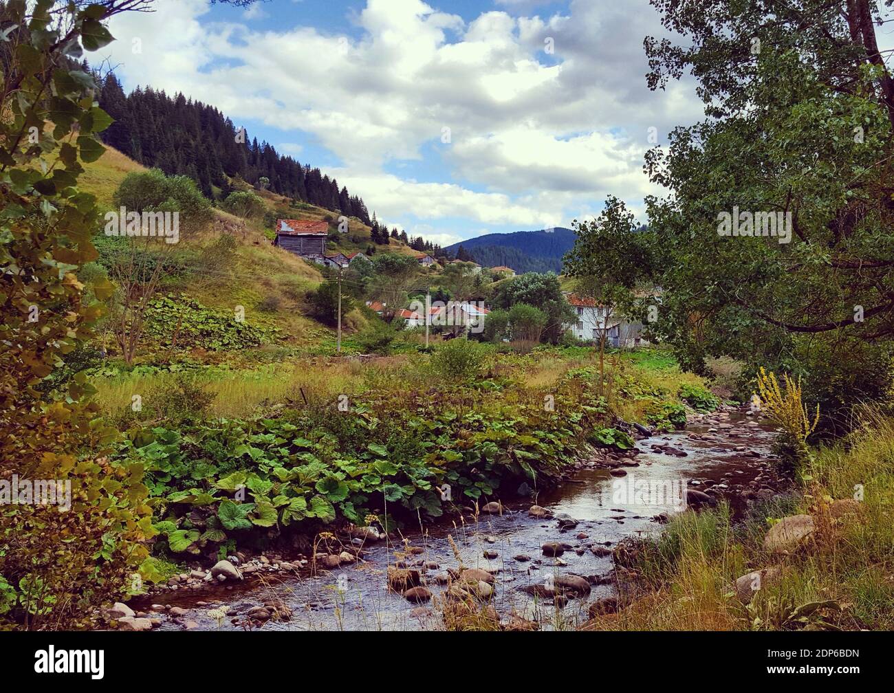 A beautiful shot of a river in the forest Stock Photo - Alamy