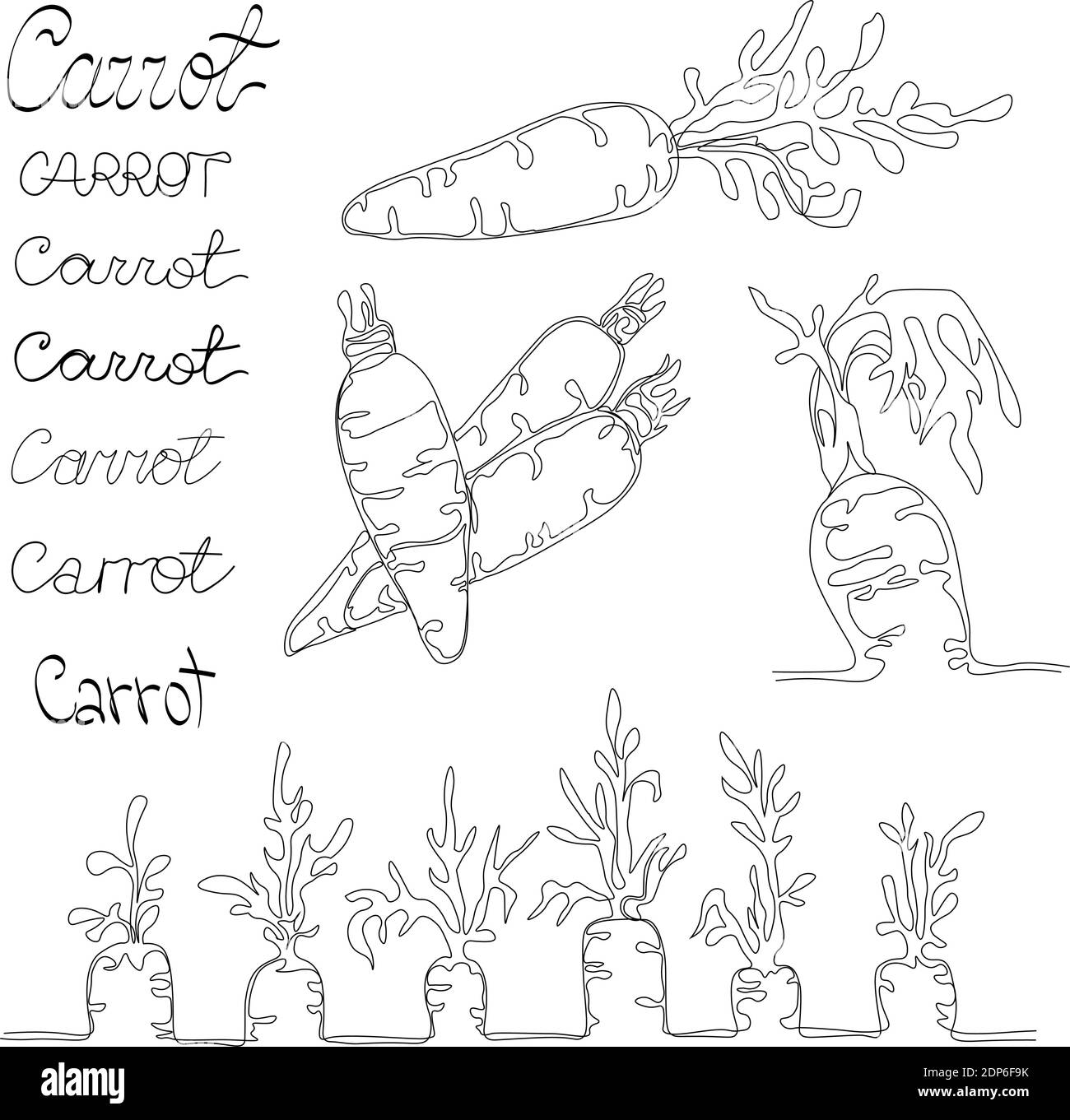 Set with 4 images of carrot made in minimalism and several variants of text Stock Vector