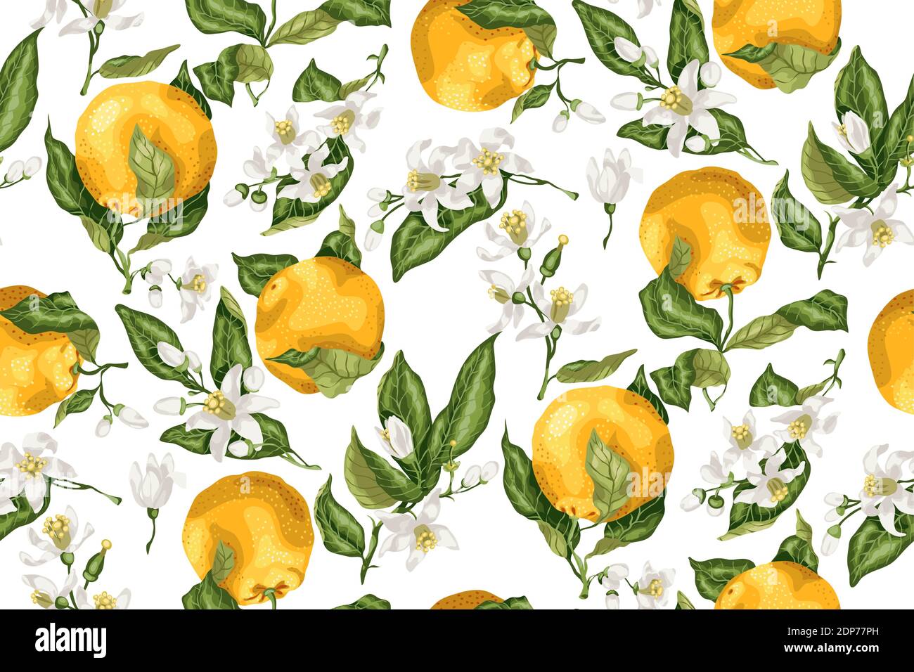 Seamless pattern with orange fruit tree branches, fruits and flowers ...