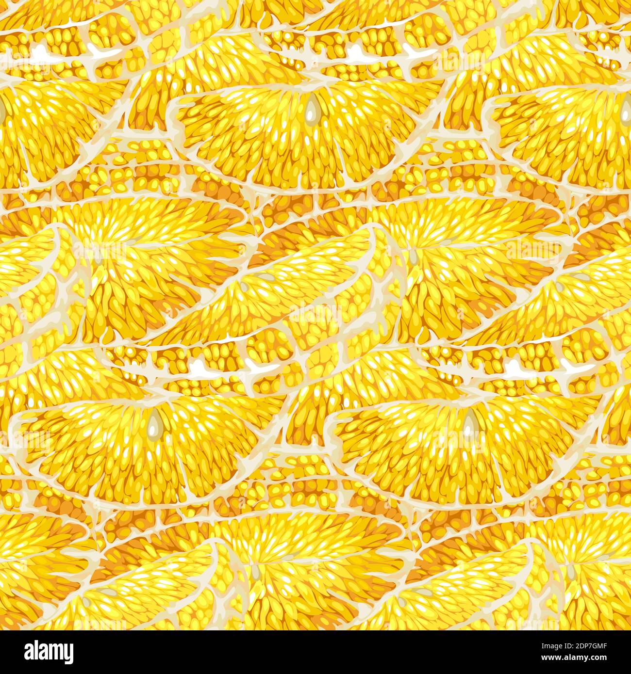 Seamless Cirtus orange tree slices pattern with realistic vector ...