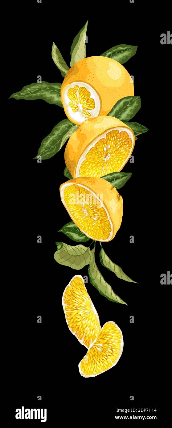 Fruit Drawing, Realistic yellow peaches, natural Foods, food, yellow  Flowers png | PNGWing