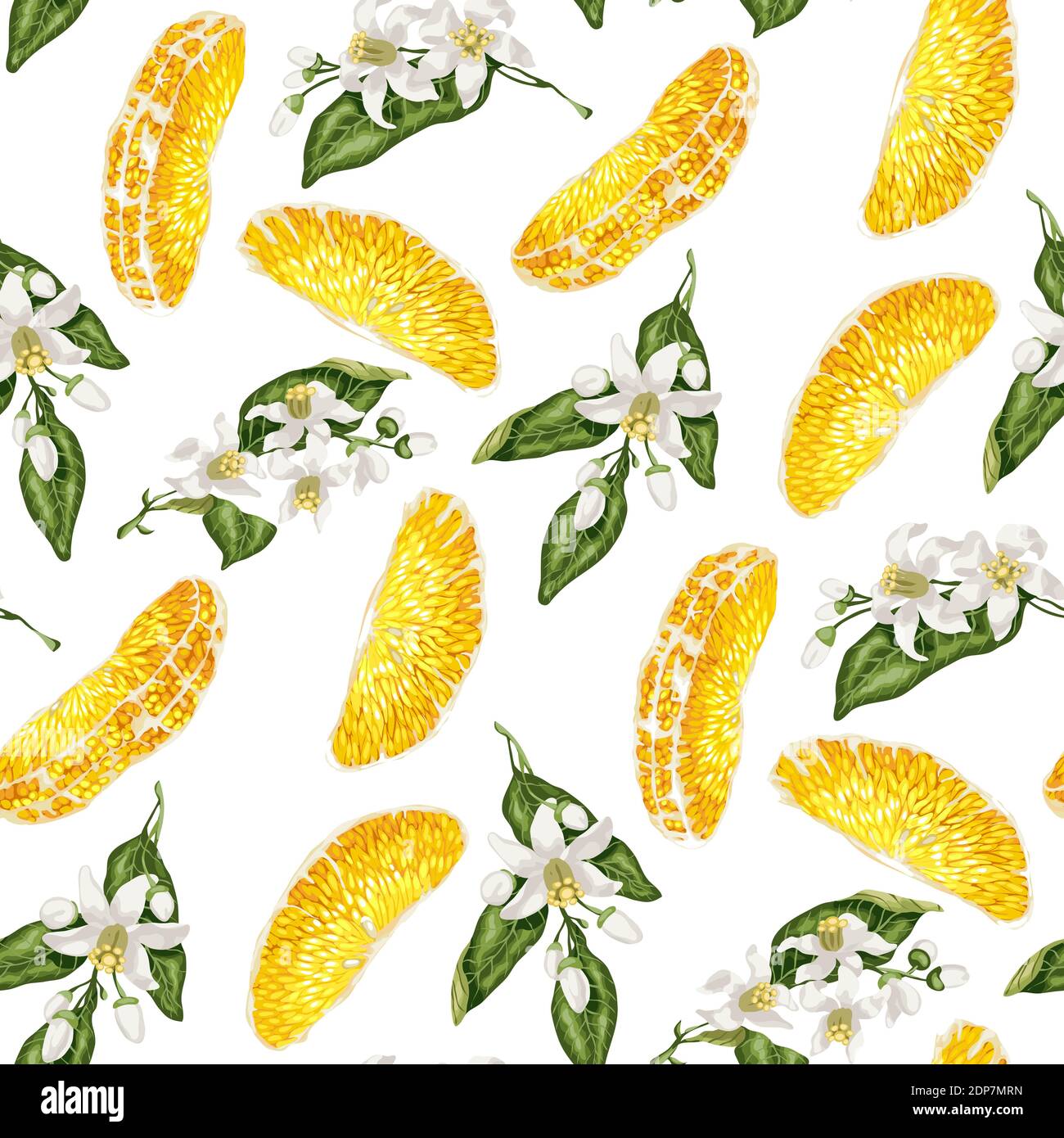 Seamless pattern with slices of citrus fruit and branches with blooming ...