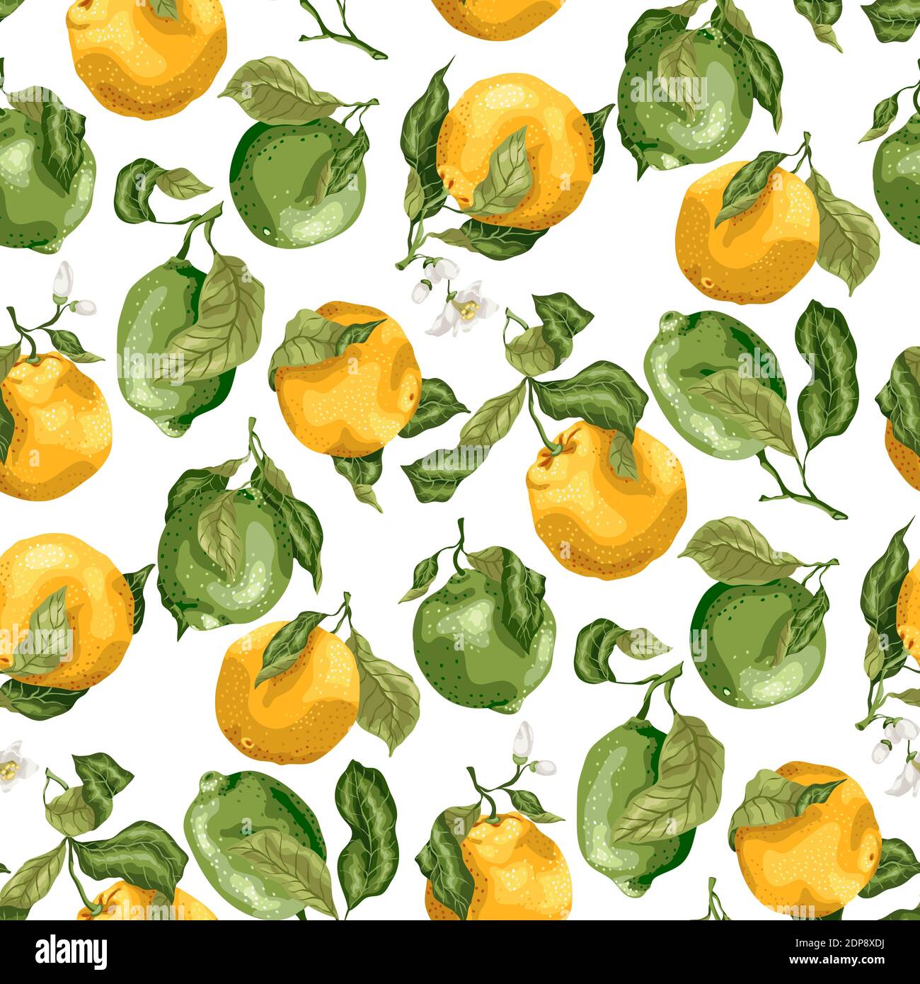 Seamless pattern with fruits. Fresh oranges and limes with flowers on ...