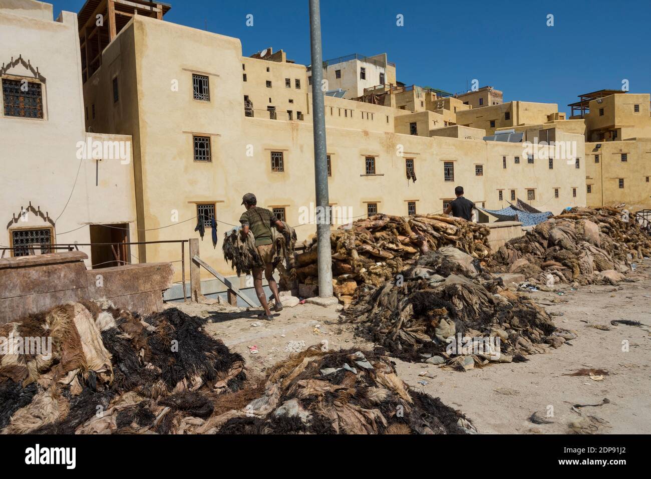 Chouara leather tannery in Fez, Morocco. Carrying the collected hides into the tannery Stock Photo