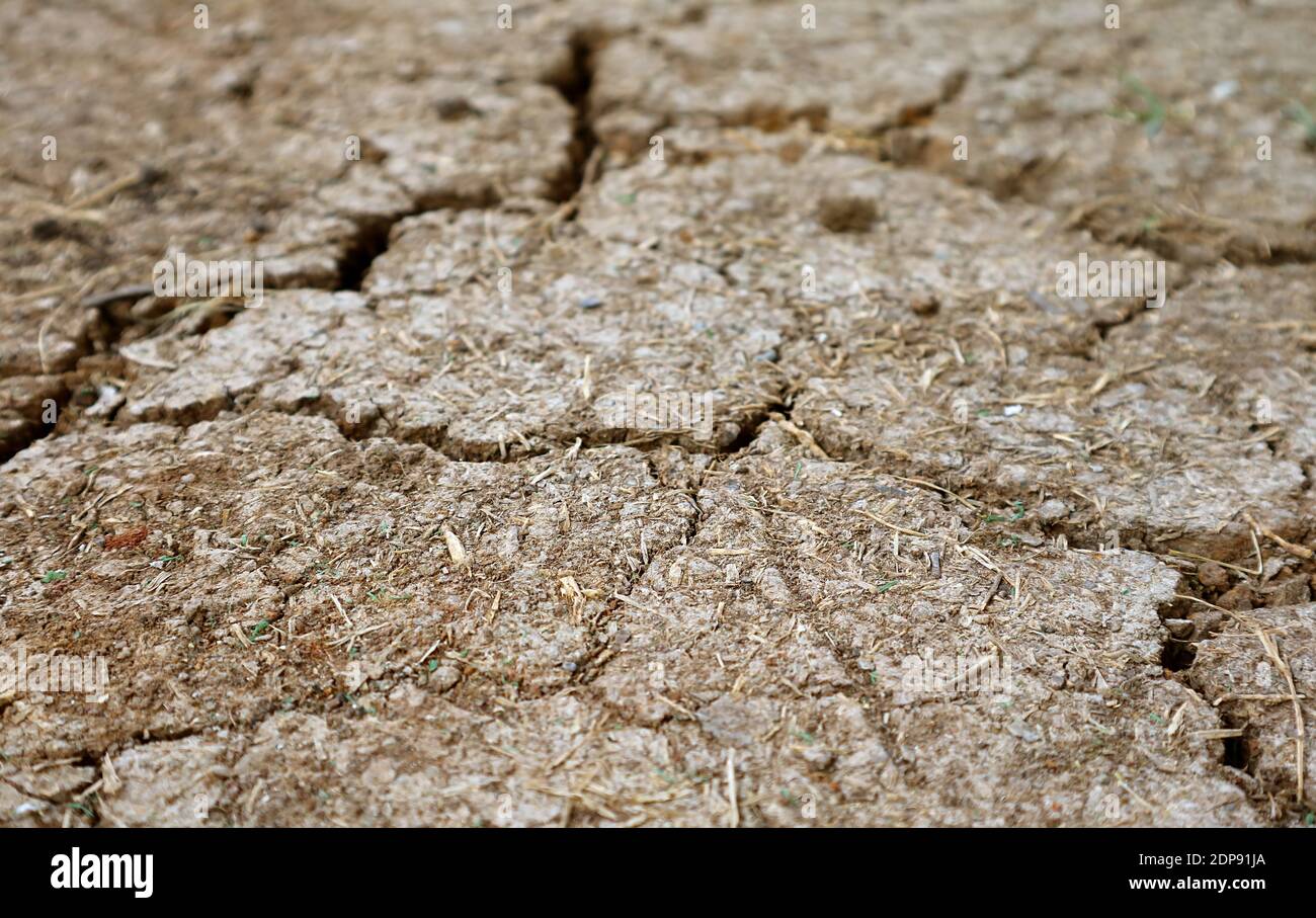 Closeup of cracked dry soil surface texture for the concept of SAVE THE EARTH Stock Photo